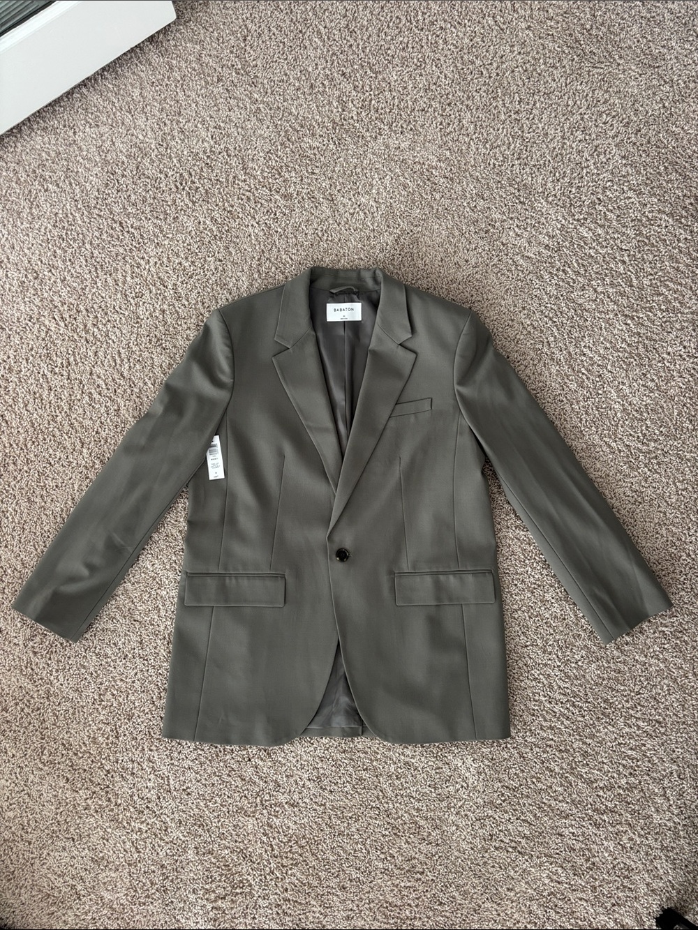 Aritzia Babaton “Agency” Blazer